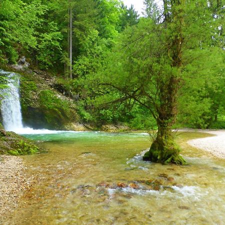 Willa Boutique House Vresje Bohinjska Bistrica Zewnętrze zdjęcie