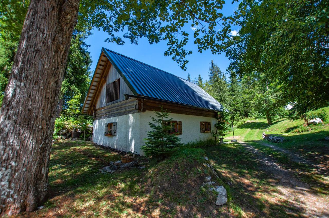 Willa Boutique House Vresje Bohinjska Bistrica Zewnętrze zdjęcie