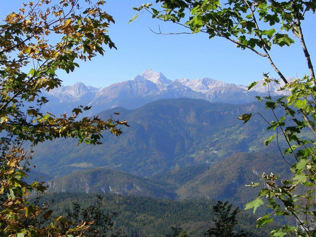 Willa Boutique House Vresje Bohinjska Bistrica Zewnętrze zdjęcie