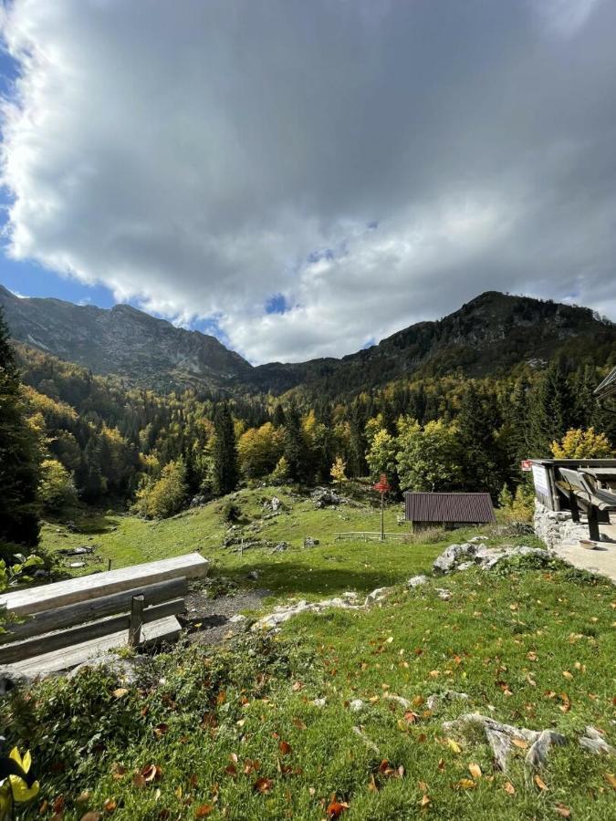Willa Boutique House Vresje Bohinjska Bistrica Zewnętrze zdjęcie