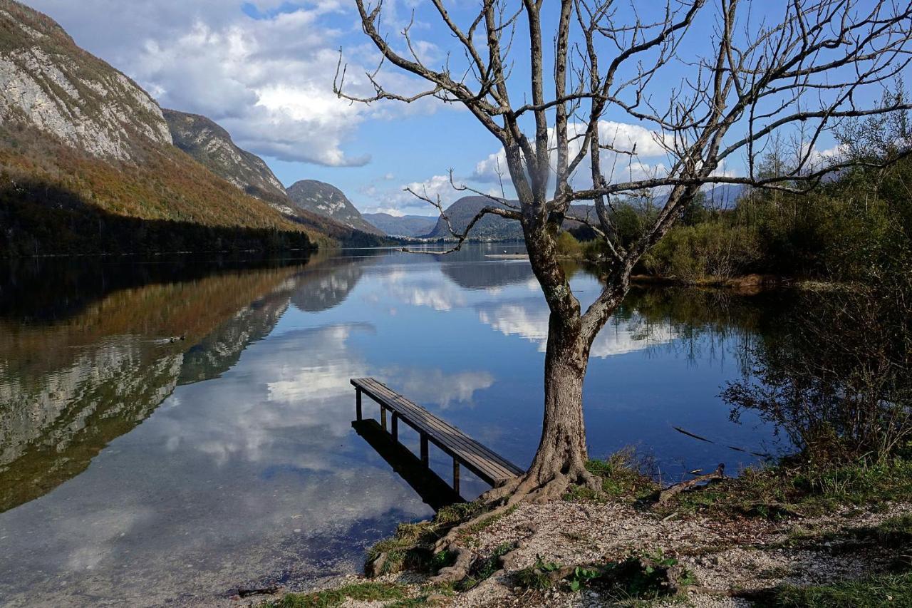 Willa Boutique House Vresje Bohinjska Bistrica Zewnętrze zdjęcie